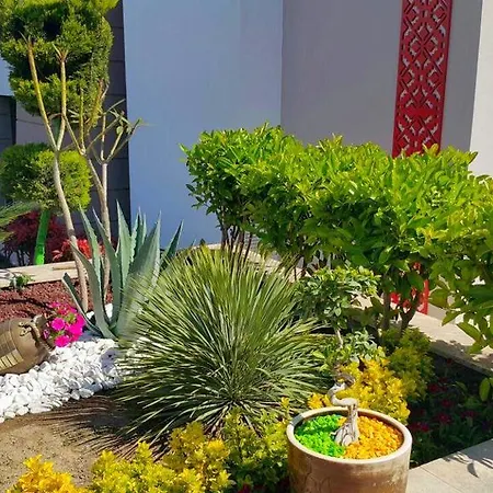 Sultan Homes Holiday *
