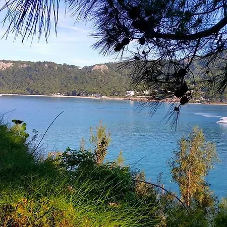 Sultan Homes Holiday