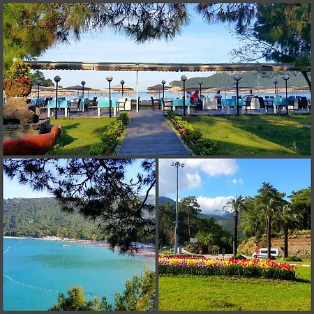Sultan Homes Holiday Appartement